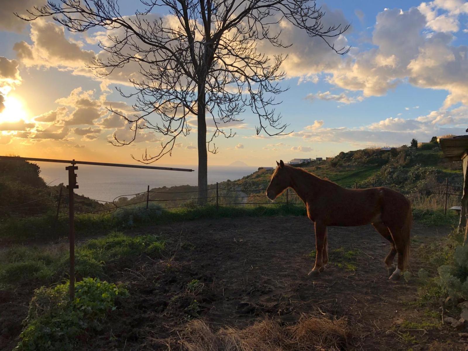 Agriturismo U Zu Peppino Lipari  Dış mekan fotoğraf
