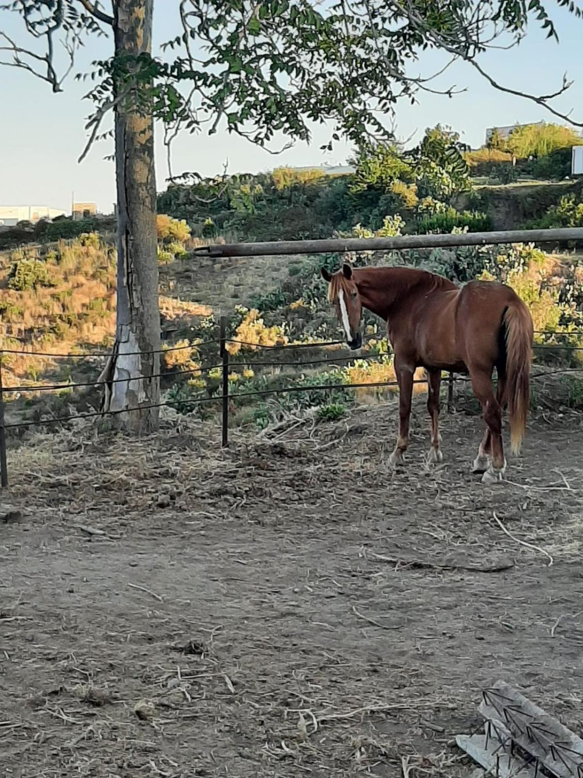 Agriturismo U Zu Peppino Lipari  Dış mekan fotoğraf