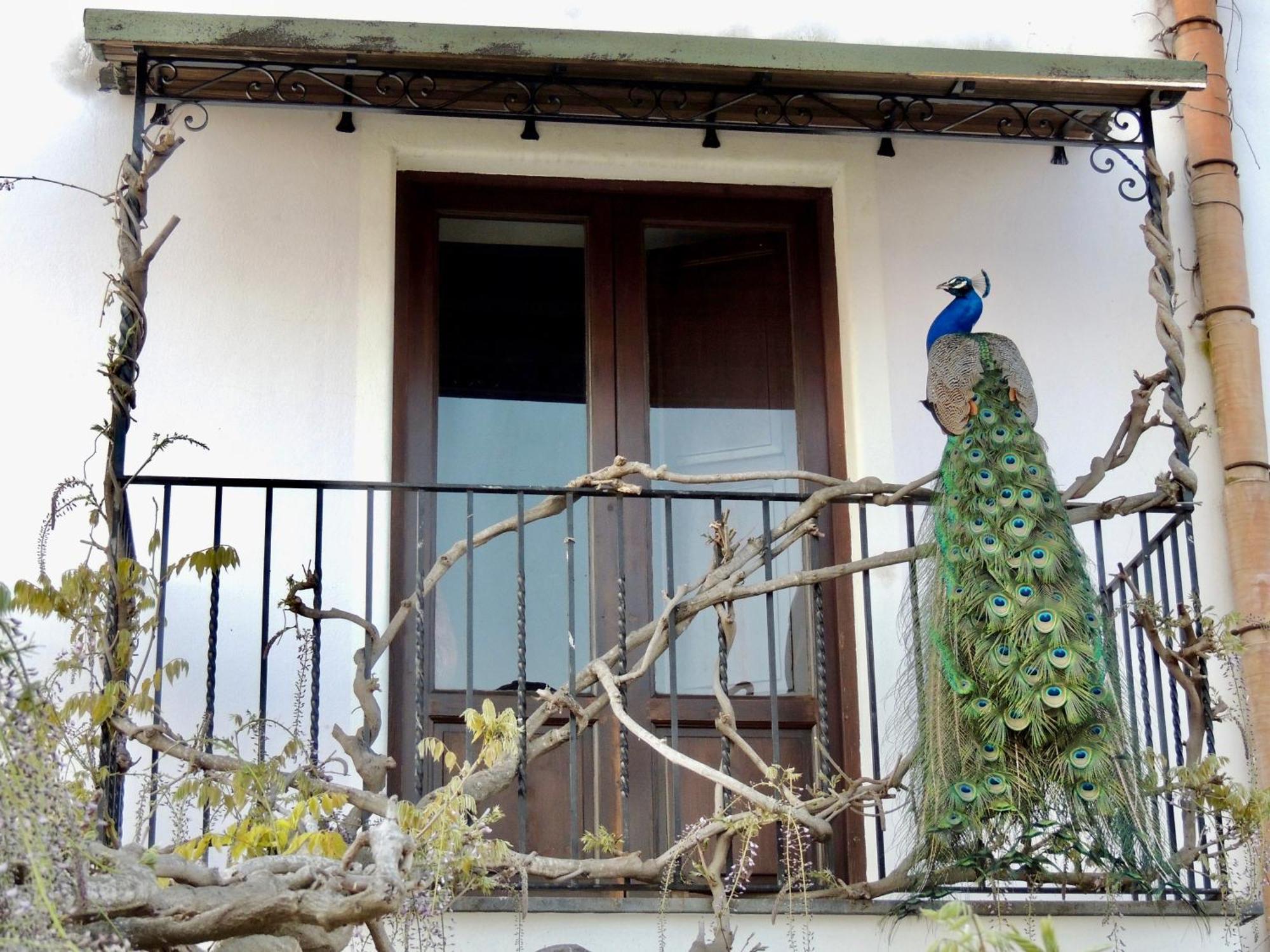 Agriturismo U Zu Peppino Lipari  Dış mekan fotoğraf
