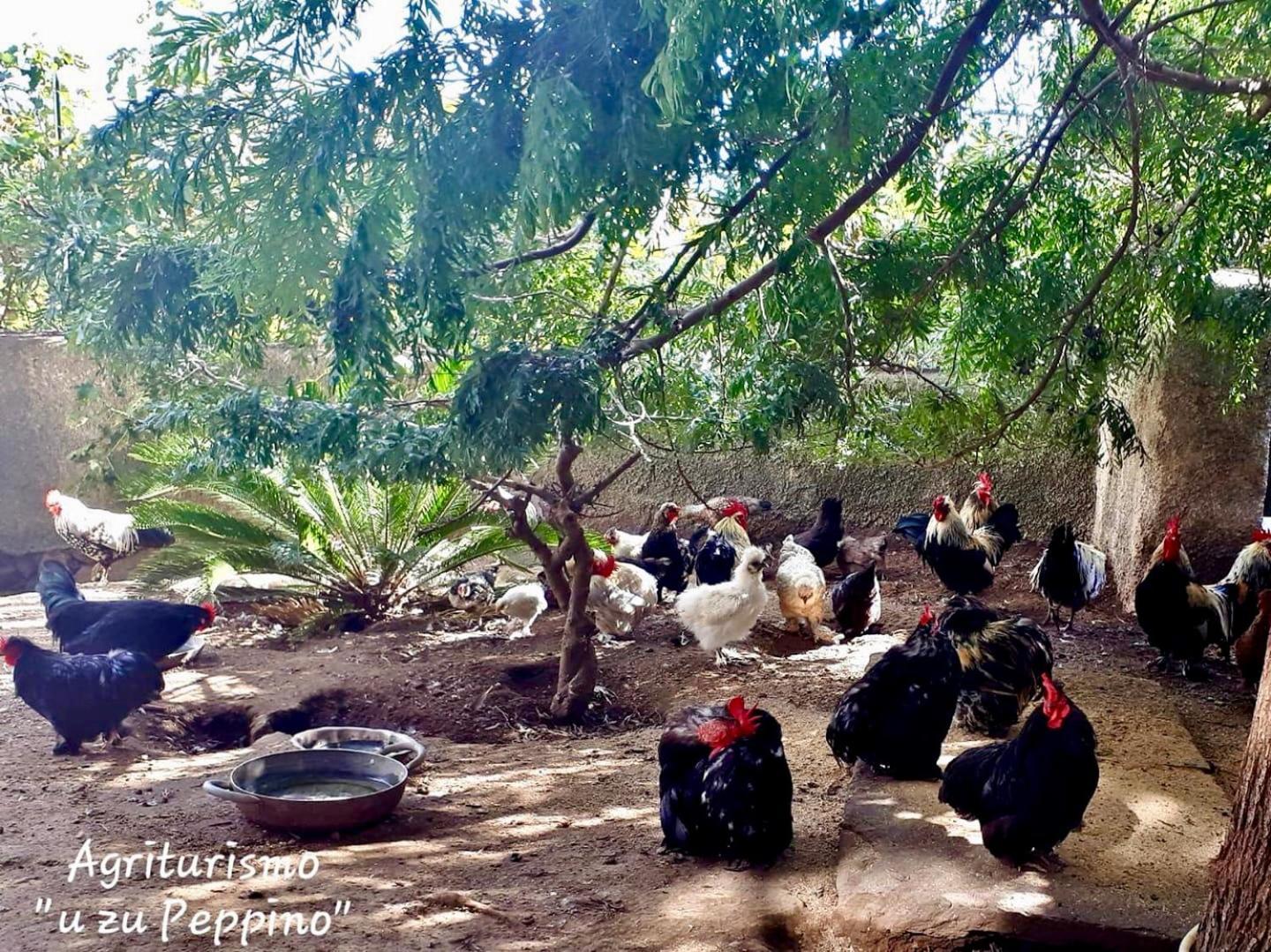 Agriturismo U Zu Peppino Lipari  Dış mekan fotoğraf