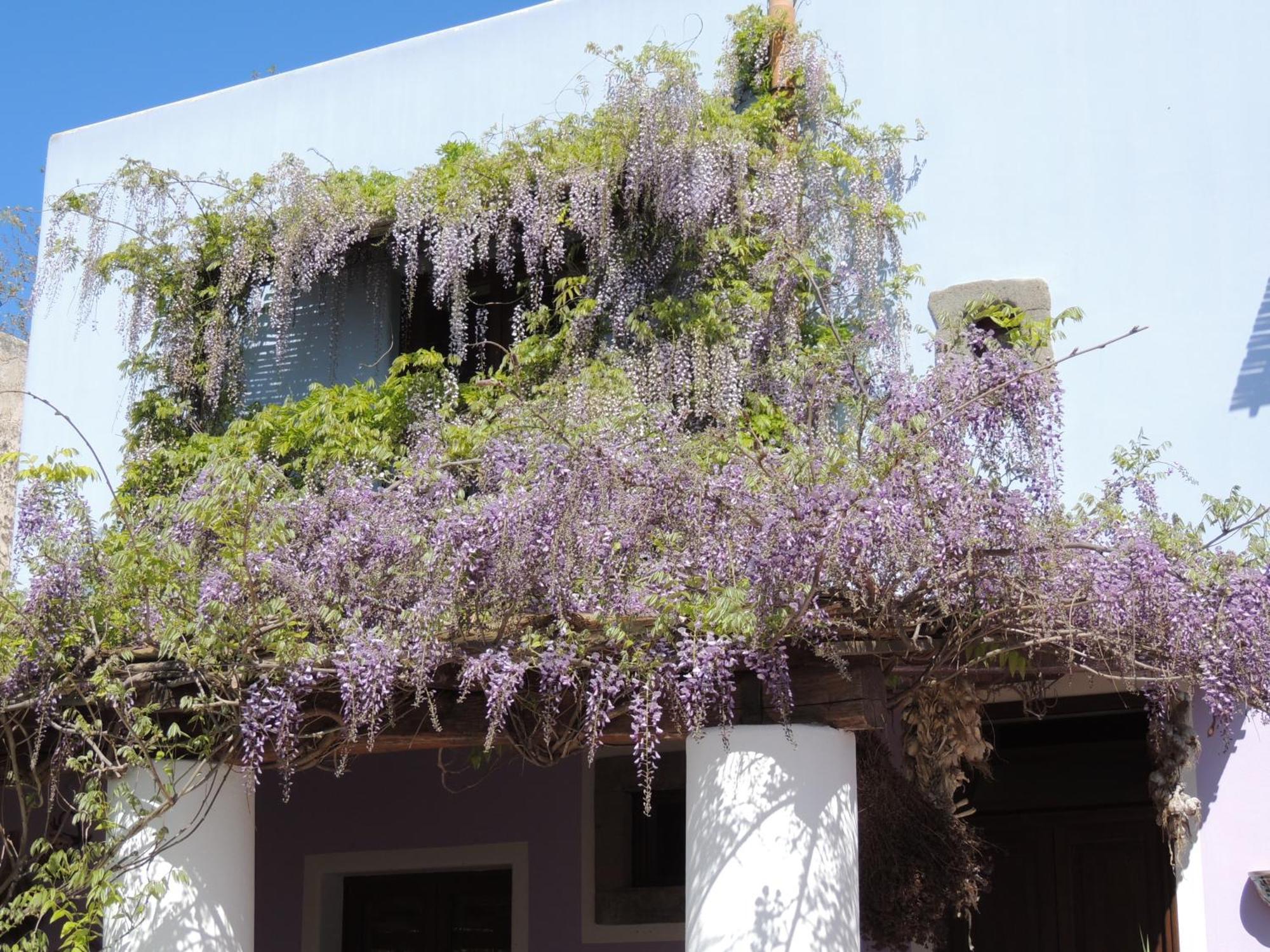 Agriturismo U Zu Peppino Lipari  Dış mekan fotoğraf